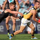 286412-tlslargethumbnail.jpg